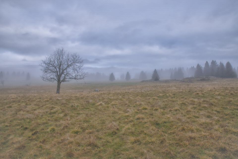 Böhmisches Erzgebirge