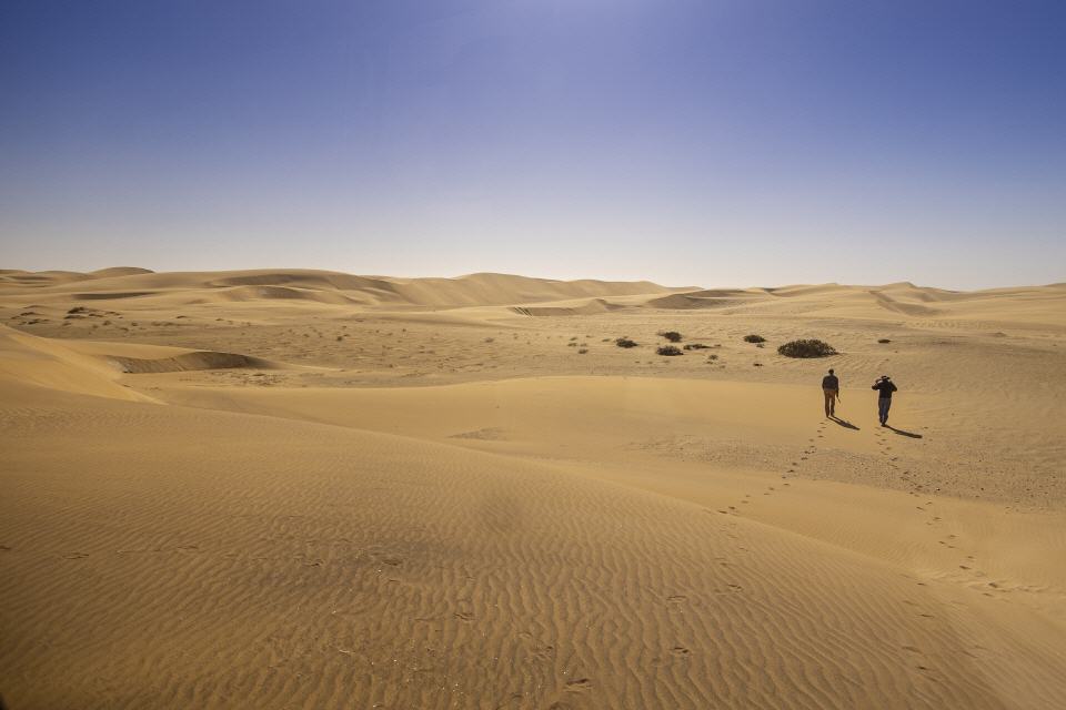 Namib bei Swakopmund