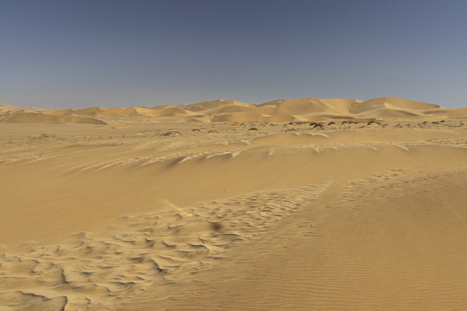 Namib bei Swakopmund