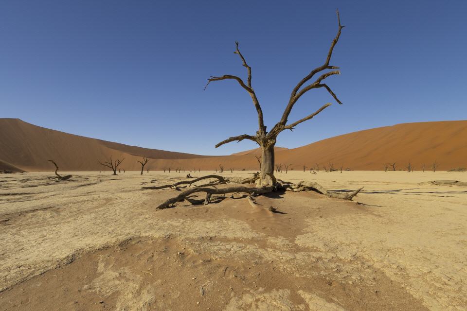 Sossusvlei
