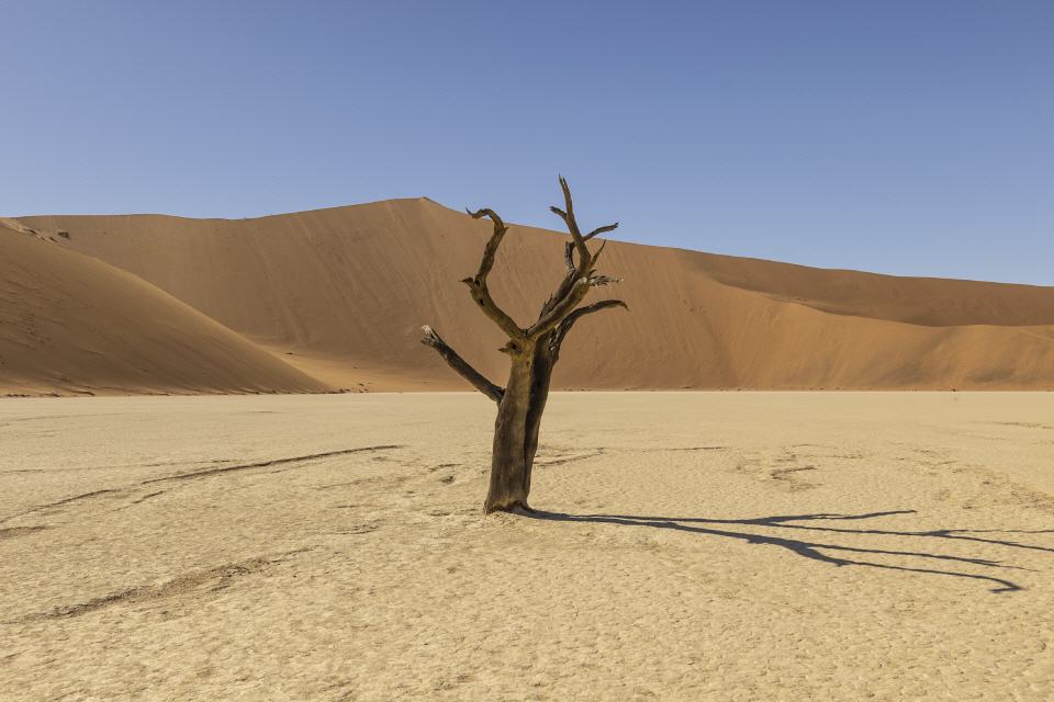 Sossusvlei